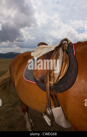 Sattel am Pferd im Reitstall in Castelluccio in Italien Stockfoto