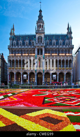 2012-Blumenteppich, Tapis de Fleurs, vor dem Maison du Roi, Broodhuis, Museum in der Grand-Place, Brüssel Stockfoto