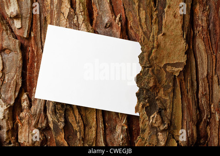 Baum-Rinde-Frame-Rahmen mit Textfreiraum Stockfoto