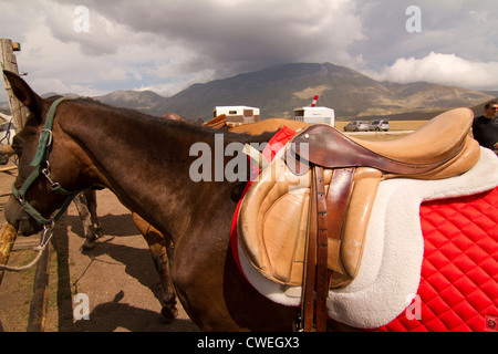 Sattel am Pferd im Reitstall in Castelluccio in Italien Stockfoto