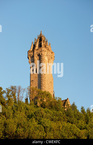 Die National Wallace Monument in Stirling, Schottland, Großbritannien. Stockfoto