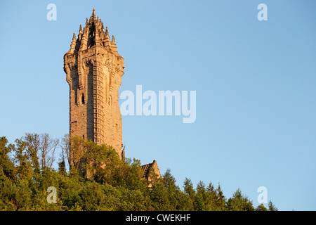 Die National Wallace Monument in Stirling, Schottland, Großbritannien. Stockfoto