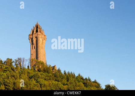 Die National Wallace Monument in Stirling, Schottland, Großbritannien. Stockfoto