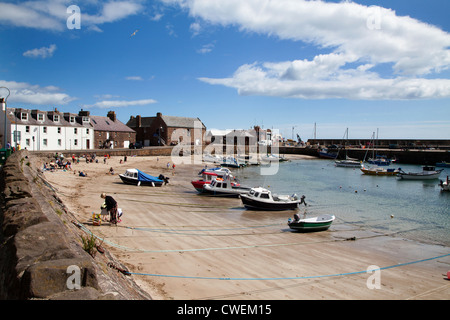 Gestrandeter Boote im Hafen von Stonehaven-Aberdeenshire-Schottland Stockfoto