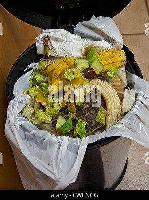 Vollständige Garbage kann Wertstoffe mit organischen Haushalt verschwenden. Stockfoto