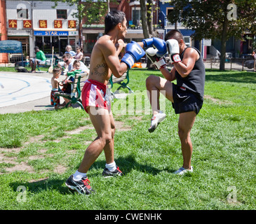 Eine Gruppe von jungen Männern und Frauen Praxis im Freien in einer Stadt Park Muay Thai-Boxen oder Martial Arts in Toronto, Ontario; Kanada Stockfoto