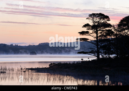 Muckross Lake in der Morgendämmerung. Killarney National Park, County Kerry, Munster, Irland. Stockfoto