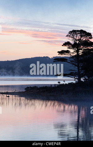 Muckross Lake in der Morgendämmerung. Killarney National Park, County Kerry, Munster, Irland. Stockfoto