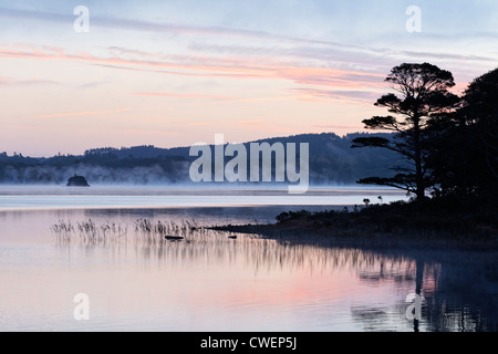 Muckross Lake in der Morgendämmerung. Killarney National Park, County Kerry, Munster, Irland. Stockfoto