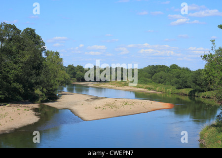 Mulde Fluss im Sommer in Sachsen-Anhalt / Deutschland Stockfoto