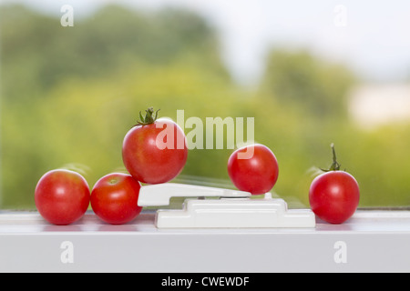 Reihe von selbst angebauten Tomaten Reifen auf der Fensterbank in der Sonne Stockfoto