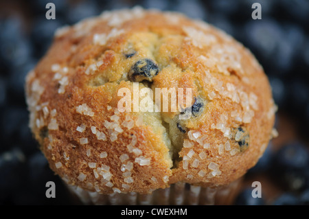 Blueberry Muffin Stockfoto