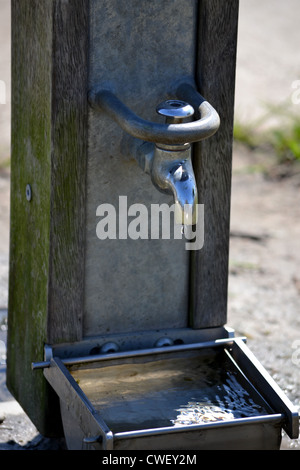 Tippen Sie im Park mit Wasser Troff für Hunde von trinken Stockfoto