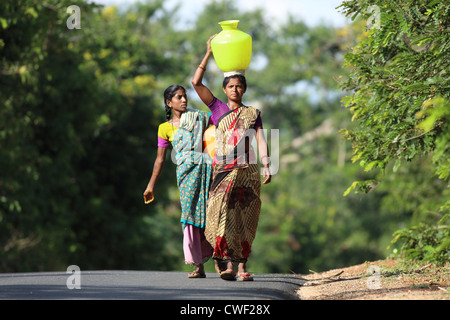 Indische Frauen Wassertragen Andhra Pradesh in Indien Stockfoto