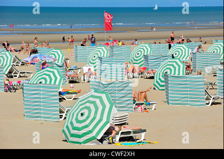 Sonnenbaden im Sommer Sonnenbaden hinter Sonnenschirme und Windschutz am Strand entlang der Nordsee Küste in Koksijde / Coxyde, Belgien Stockfoto