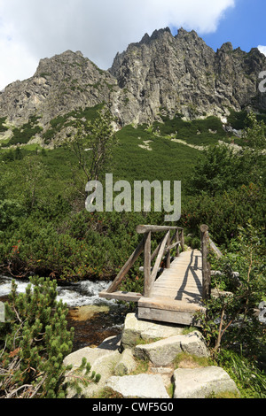 Holzbrücke über die Velký Studeny Potok in Velka Studena Dolina, hohe Tatra, Slowakei. Stockfoto