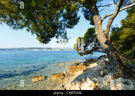 Sommer-steinigen Strand und sauberes Wasseroberfläche der Adria (Kroatien) Stockfoto