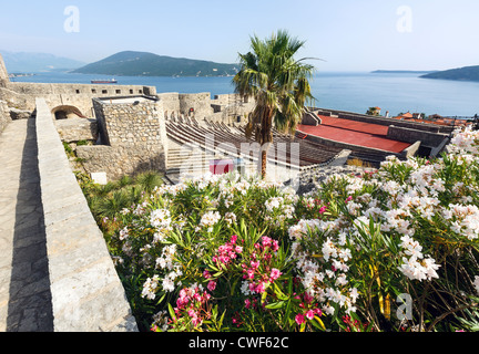 Forte Mare Burg Sommer Blick und Bucht von Kotor (Herceg Novi, Montenegro) Stockfoto