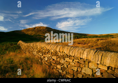 UK, Derbyshire, Peak District, unreifen Bank in der Nähe von Hathersage Stockfoto