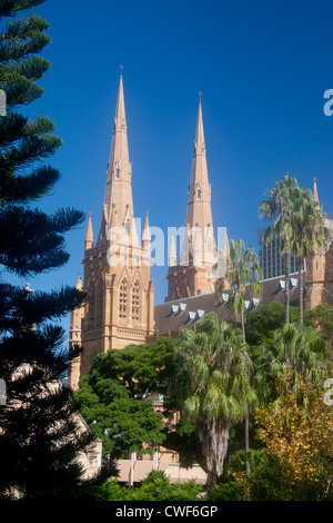 Str. Marys katholische Kathedrale Hyde Park Sydney New South Wales Australien Stockfoto