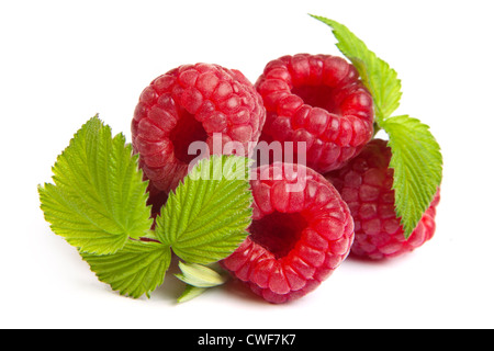 Rosenstrauss Rote Himbeere auf weißem Hintergrund. Nahaufnahme Makro erschossen. Bild wurde professionell retuschiert Stockfoto