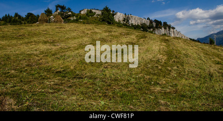 traditionellen Agrarlandschaft und Praxis in Piatra Craiului Nationalpark, Brasov, Siebenbürgen, Rumänien Stockfoto