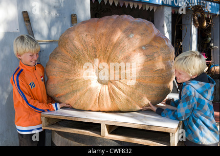 Kinder bewundern einen riesigen Kürbis auf einem Farmstall in Worcester, Western Cape, Südafrika Stockfoto