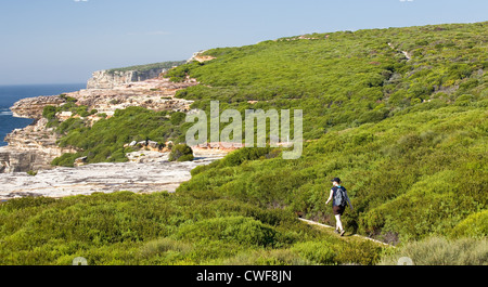 Buschwanderer zu Fuß auf der Küste-Strecke, Royal National Park, NSW, Australien Stockfoto