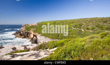 Küste und Küsten Heide der Royal National Park, NSW, Australien Stockfoto