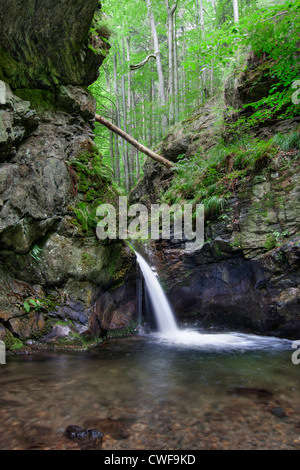 Nyznerov Wasserfälle - silbernen Bach, Tschechien.  Silver Creek Falls, auch Nyznerov Wasserfälle Stockfoto