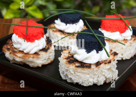 Roten und schwarzen Kaviar Kanapees dekoriert mit Schnittlauch. Stockfoto