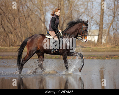 Frau reitet auf dem Pferd durchs Wasser Stockfoto