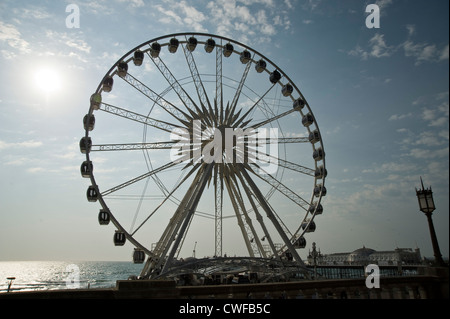 Brighton "Eye" - Riesenrad auf Brighton Seafront; East Sussex, UK Stockfoto