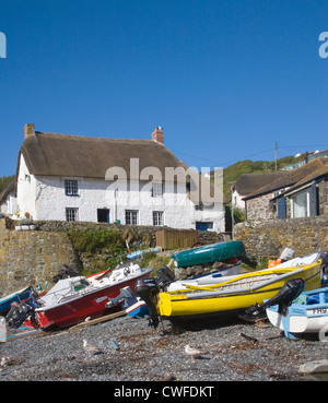 Das kleine Fischerdorf Cadgwith auf die Eidechse in cornwall Stockfoto