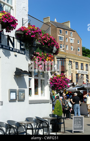 Blume, hängenden Körben außerhalb einer Kneipe Whitby England uk Stockfoto