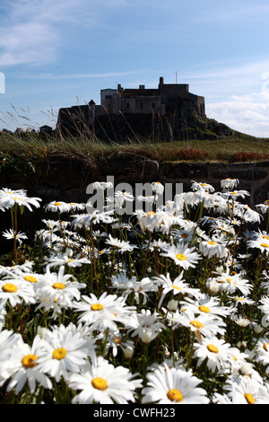 Blick auf Lindisfarne Burg, Northumberland, UK Stockfoto