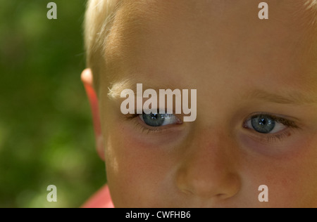 Porträt eines jungen Kindes blond blaue Augen Blick in die Kamera im Sommer draußen hautnah Stockfoto