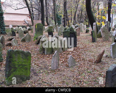 Alten jüdischen Friedhof in Prag, liegt in der Josefstadt (Josefov), das jüdische Viertel in Prag in der Tschechischen Republik. Der Friedhof ist von 1439. Stockfoto