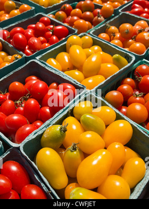 rote und gelbe Cherry Tomaten, Bauernmarkt, Beacon, New York, USA