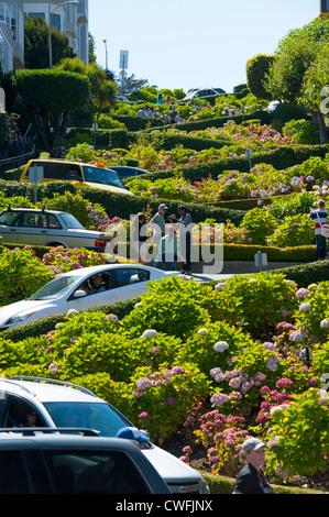 USA Kalifornien CA San Francisco Lombard Street St Welt windigste Straße Stockfoto