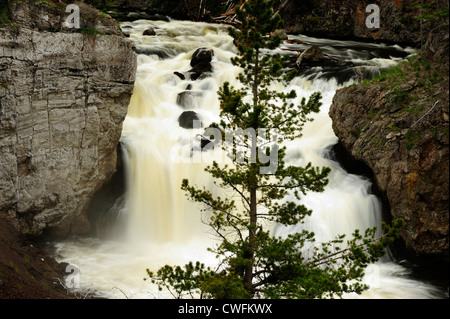 Firehole verliebt sich in den Firehole River Canyon, Yellowstone-Nationalpark, Wyoming, USA Stockfoto