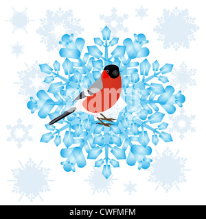 Gimpel und einer Schneeflocke Stockfoto