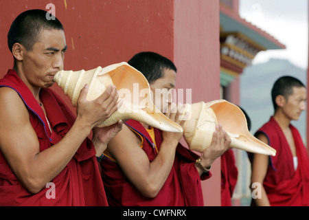 Exil-Tibeter in Indien Stockfoto