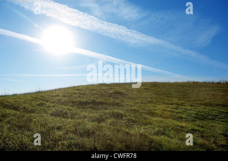 Mais-Feld im Gegenlicht in Neuenkirchen, Rügen Stockfoto