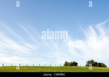 Die Wiese am neuen Kirchen, Rügen Stockfoto