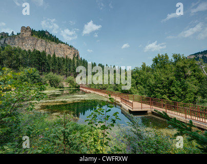 Black Hills in South Dakota im Sommer. Stockfoto