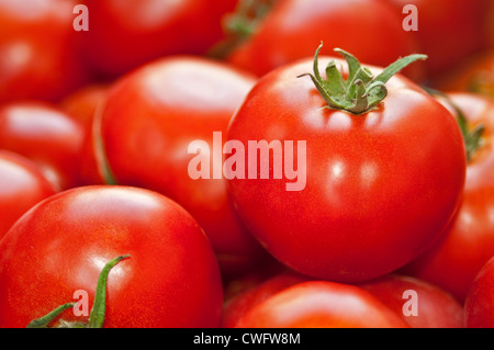 Rote Tomaten Stockfoto