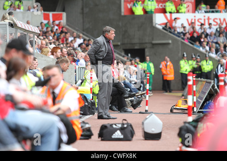Die vielen Gesichter von Sam Allardyce als He Uhren sein Team West Ham, verlieren drei Null Weg von zu Hause bei Swansea City. Stockfoto