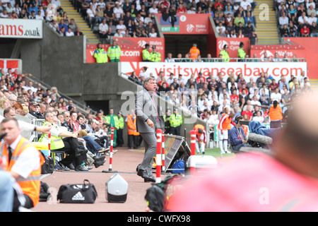Die vielen Gesichter von Sam Allardyce als He Uhren sein Team West Ham, verlieren drei Null Weg von zu Hause bei Swansea City. Stockfoto