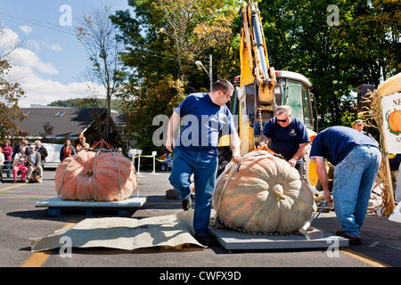 Mit einem Gewicht von Zeit bei Kürbisfest, Cooperstown, New York Stockfoto